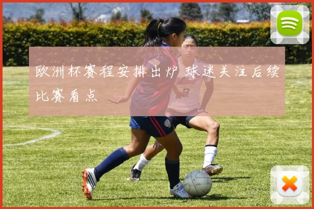 欧洲杯赛程安排出炉 球迷关注后续比赛看点